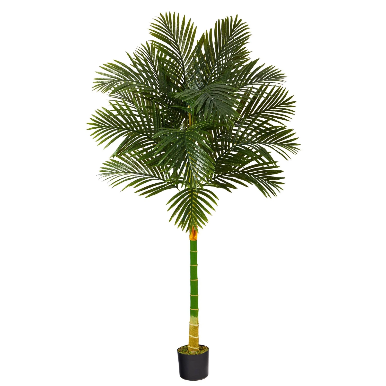 6’ Single Stalk Golden Cane Artificial Palm Tree 1 6’ Single Stalk Golden Cane Artificial Palm Tree