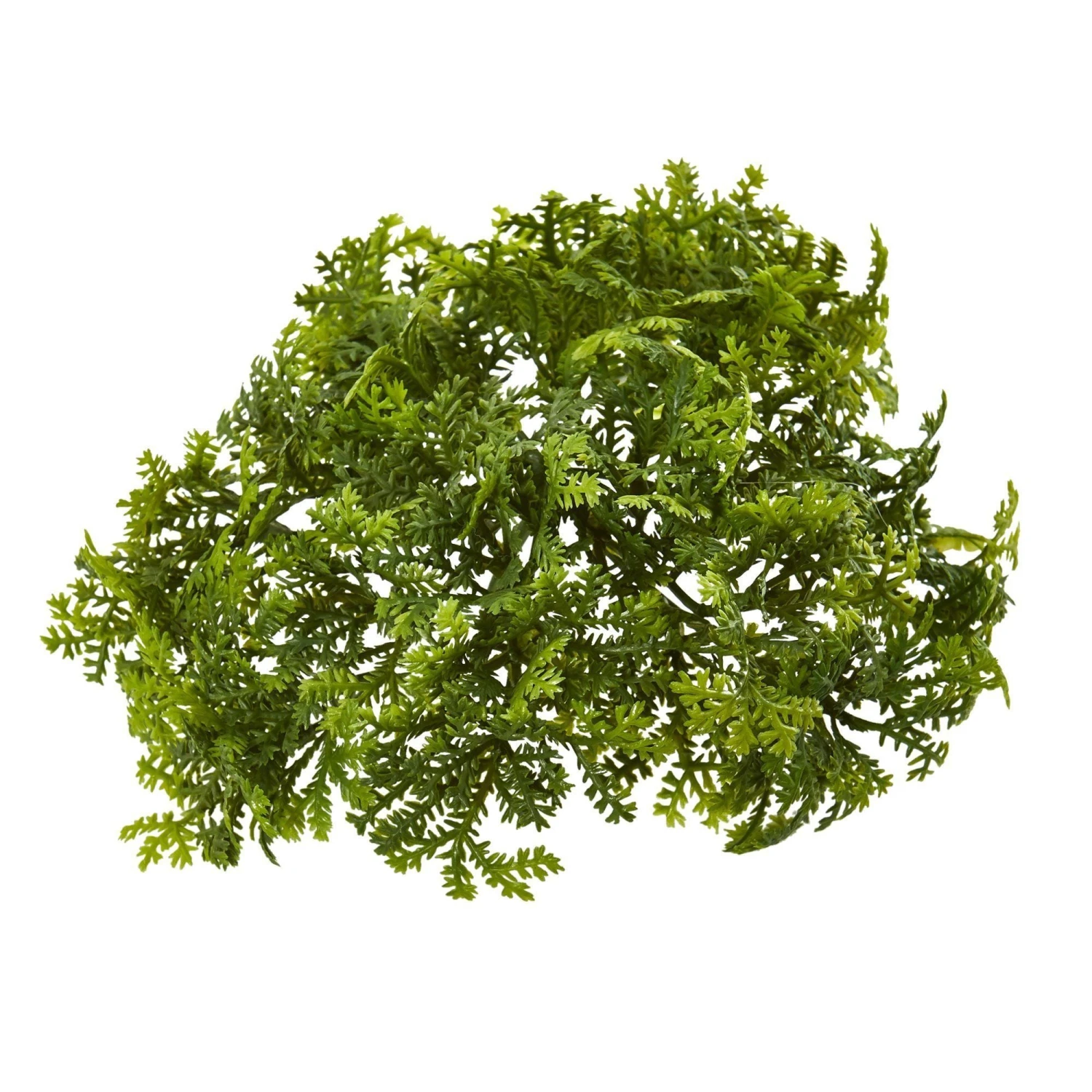 6” Moss Artificial Bush Flower (Set Of 12) 1 6” Moss Artificial Bush Flower (Set Of 12)