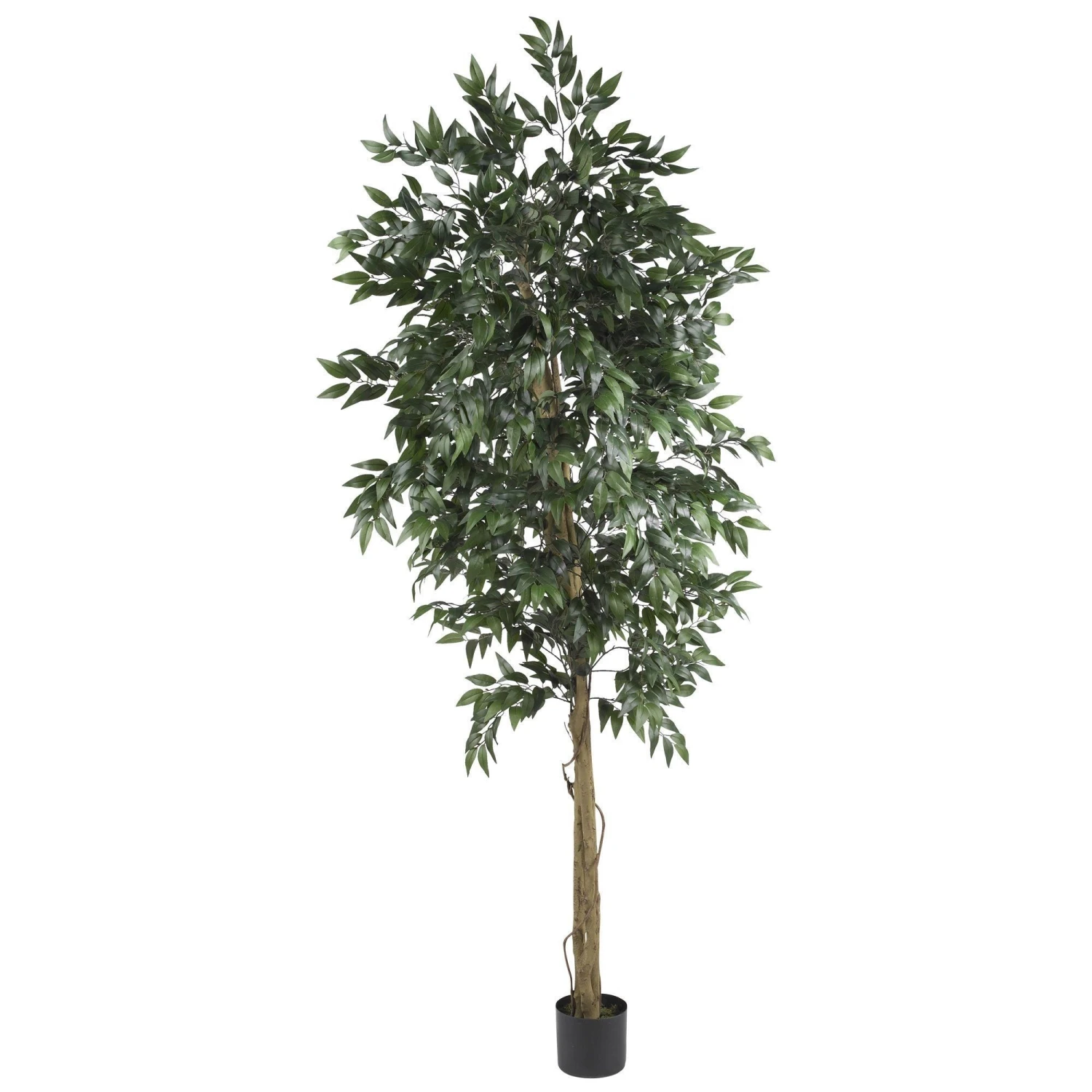 6' Smilax Tree 1 6' Smilax Tree