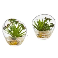 6" Spiky Succulent Artificial Plant In Slanted Glass (Set Of 2)"
