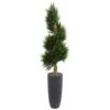 6’ Spiral Cypress Artificial Tree In Cylinder Planter (Indoor/Outdoor)
