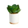6” Succulent Artificial Plant In White Ceramic Planter