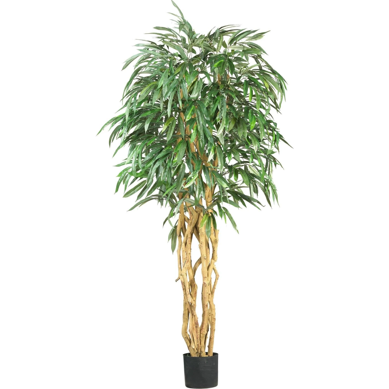 6' Weeping Ficus Silk Tree 1 6' Weeping Ficus Silk Tree