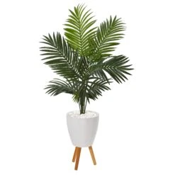 61” Paradise Palm Artificial Tree In White Planter With Stand