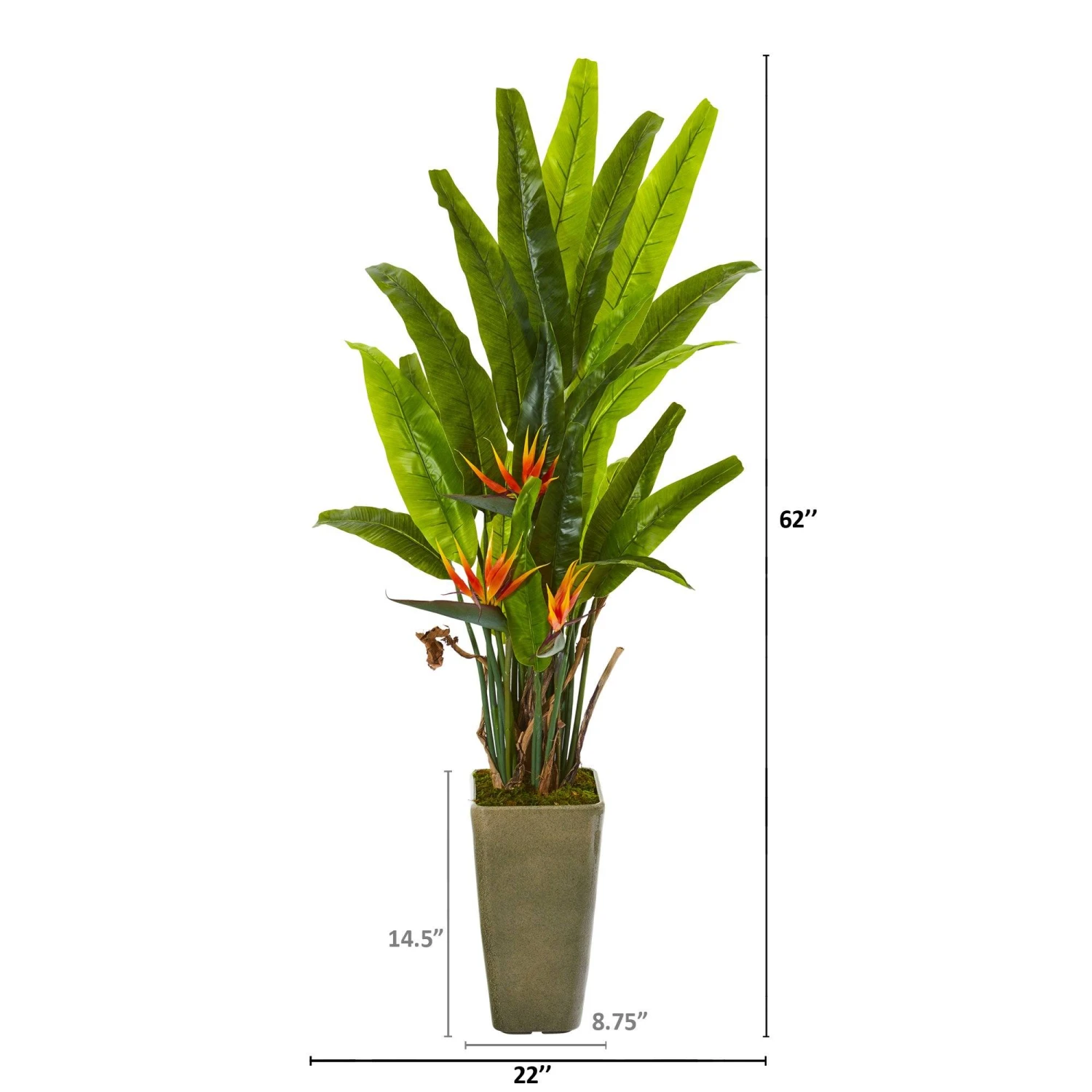 62” Bird Of Paradise Artificial Plant In Olive Green Planter 2 62” Bird Of Paradise Artificial Plant In Olive Green Planter - Image 2