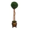 63” English Ivy Single Ball Artificial Topiary Tree In Decorative Planter (Indoor/Outdoor)