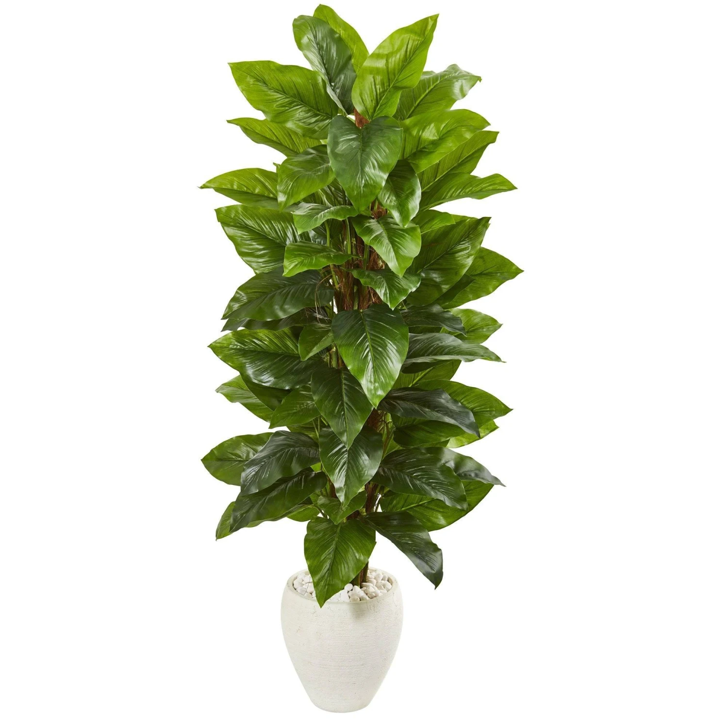 63” Large Leaf Philodendron Artificial Plant In White Planter (Real Touch) 1 63” Large Leaf Philodendron Artificial Plant In White Planter (Real Touch)