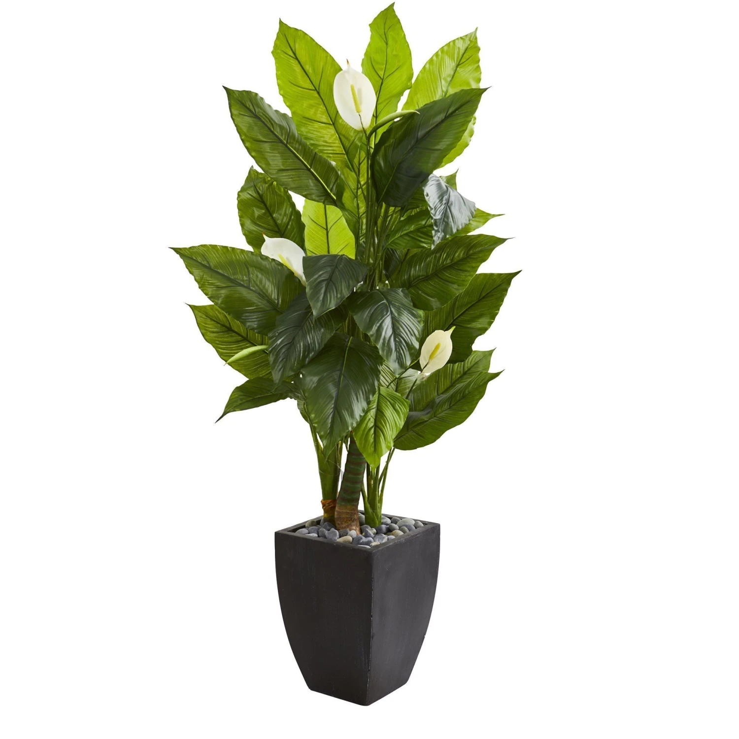 63” Spathyfillum Artificial Plant In Black Planter (Real Touch) 1 63” Spathyfillum Artificial Plant In Black Planter (Real Touch)