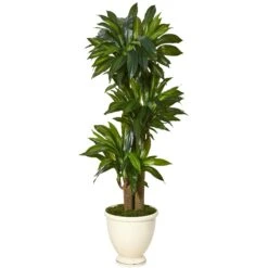 64” Corn Stalk Dracaena Artificial Plant In Urn Planter (Real Touch)