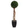 64” English Ivy Single Ball Artificial Topiary Tree In Black Planter (Indoor/Outdoor)