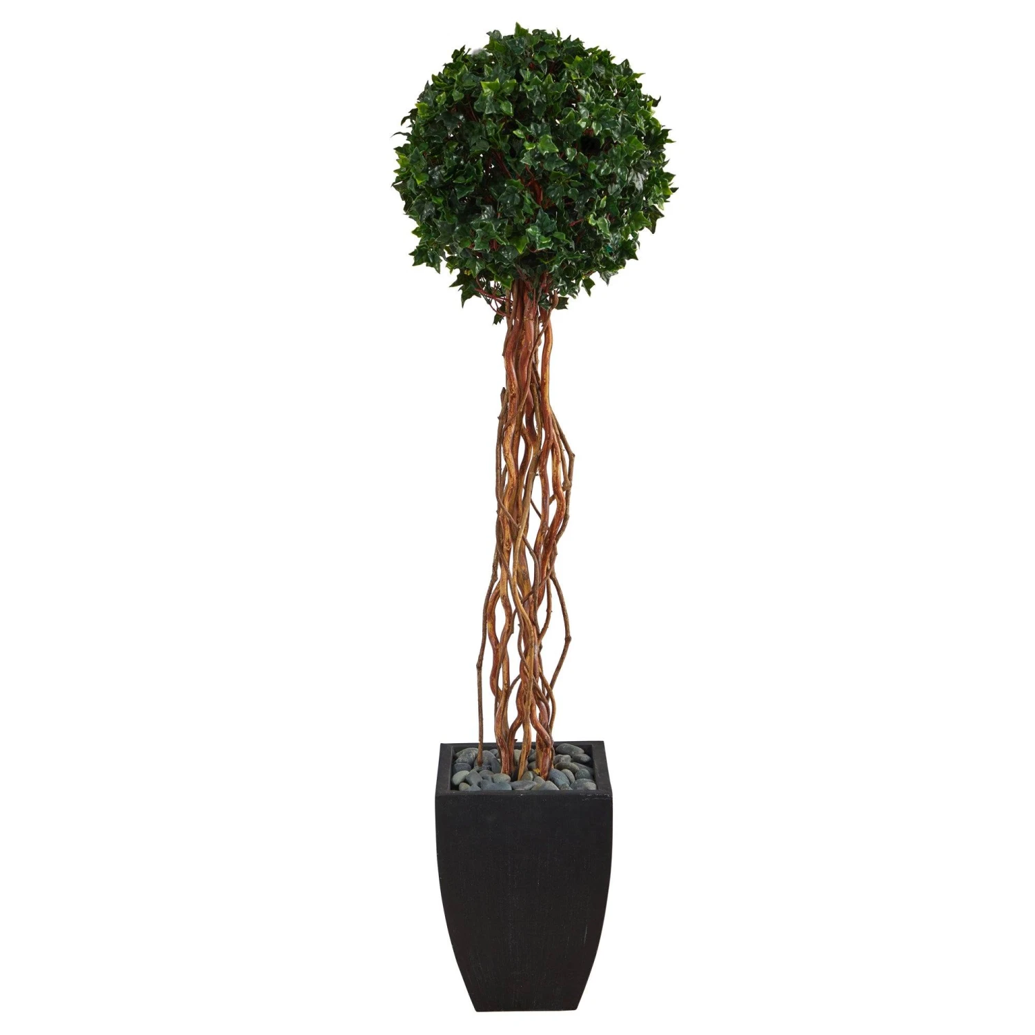 64” English Ivy Single Ball Artificial Topiary Tree In Black Planter (Indoor/Outdoor) 1 64” English Ivy Single Ball Artificial Topiary Tree In Black Planter (Indoor/Outdoor)