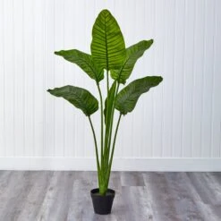 64” Travelers Palm Tree UV Resistant (Indoor/Outdoor) 11 64” Travelers Palm Tree UV Resistant (Indoor/Outdoor) -Artificial Trees Store artificial 64 travelers palm tree uv resistant indooroutdoor nearly natural 147481