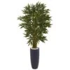 6.5’ Bamboo Tree In Gray Cylinder Planter