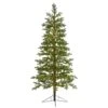 6.5' Fairbanks Fir Artificial Christmas Tree With 250 Clear Warm (Multifunction) LED Lights And 208 Bendable Branches
