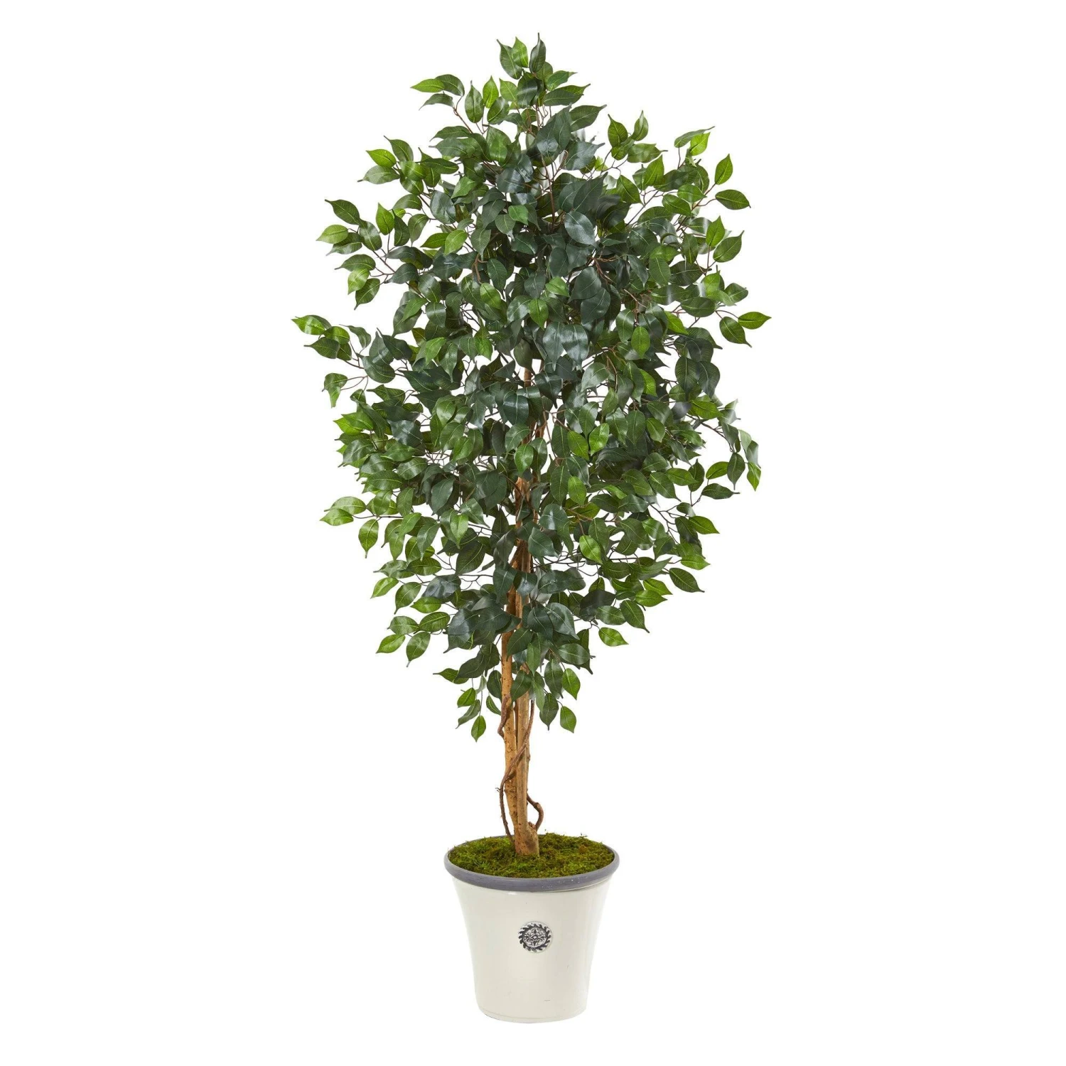 65” Ficus Artificial Tree In Decorative Planter 1 65” Ficus Artificial Tree In Decorative Planter