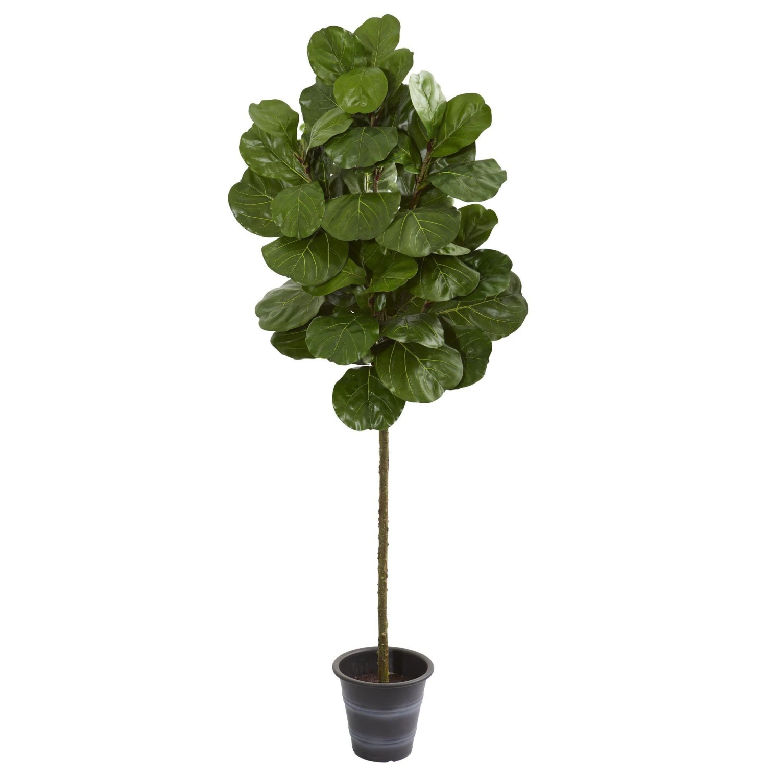 6.5’ Fiddle Leaf Artificial Tree With Decorative Planter 1 6.5’ Fiddle Leaf Artificial Tree With Decorative Planter