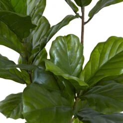 65” Fiddle Leaf Tree UV Resistant (Indoor/Outdoor) -Artificial Trees Store artificial 65 fiddle leaf tree uv resistant indooroutdoor nearly natural 964529