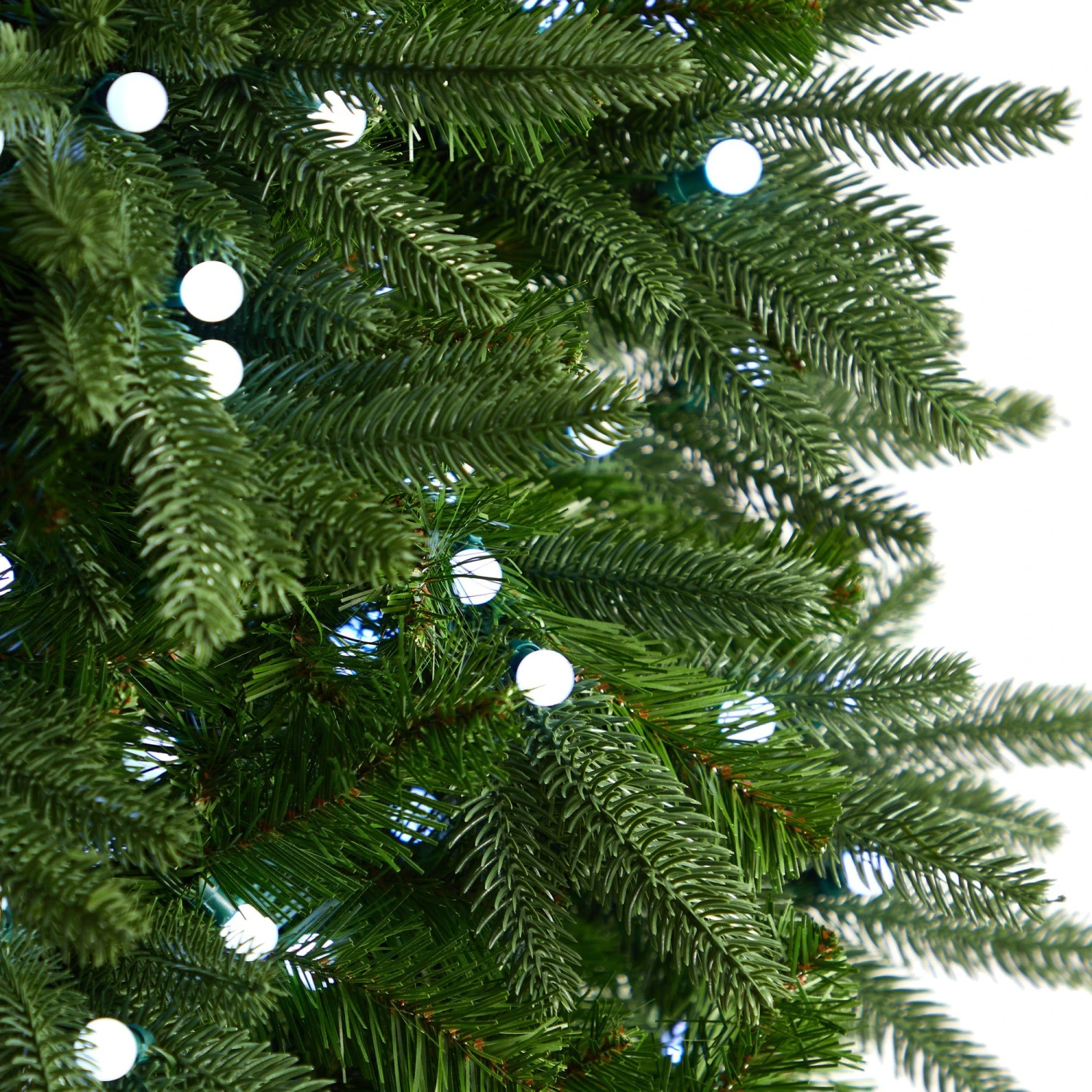 6.5’ Fraser Fir Christmas Tree With 550 Gum Ball LED Lights With Instant Connect Technology And 965 Branches 4 6.5’ Fraser Fir Christmas Tree With 550 Gum Ball LED Lights With Instant Connect Technology And 965 Branches - Image 4