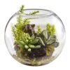 6.5” Mix Succulent Garden W/Glass Vase