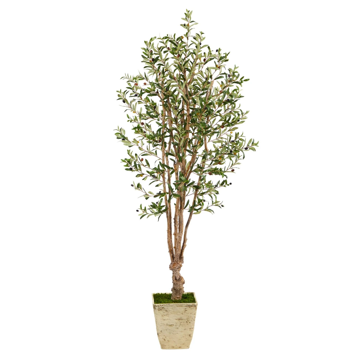 6.5’ Olive Artificial Tree In Country White Planter 1 6.5’ Olive Artificial Tree In Country White Planter
