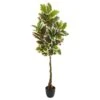 65” Variegated Rubber Leaf Artificial Tree (Real Touch)