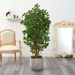 67” Black Olive Artificial Tree With 1365 Bendable Leaves In White Planter 6 67” Black Olive Artificial Tree With 1365 Bendable Leaves In White Planter -Artificial Trees Store artificial 67 black olive artificial tree with 1365 bendable leaves in white planter nearly natural 674490