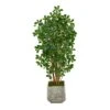 67” Black Olive Artificial Tree With 1365 Bendable Leaves In White Planter