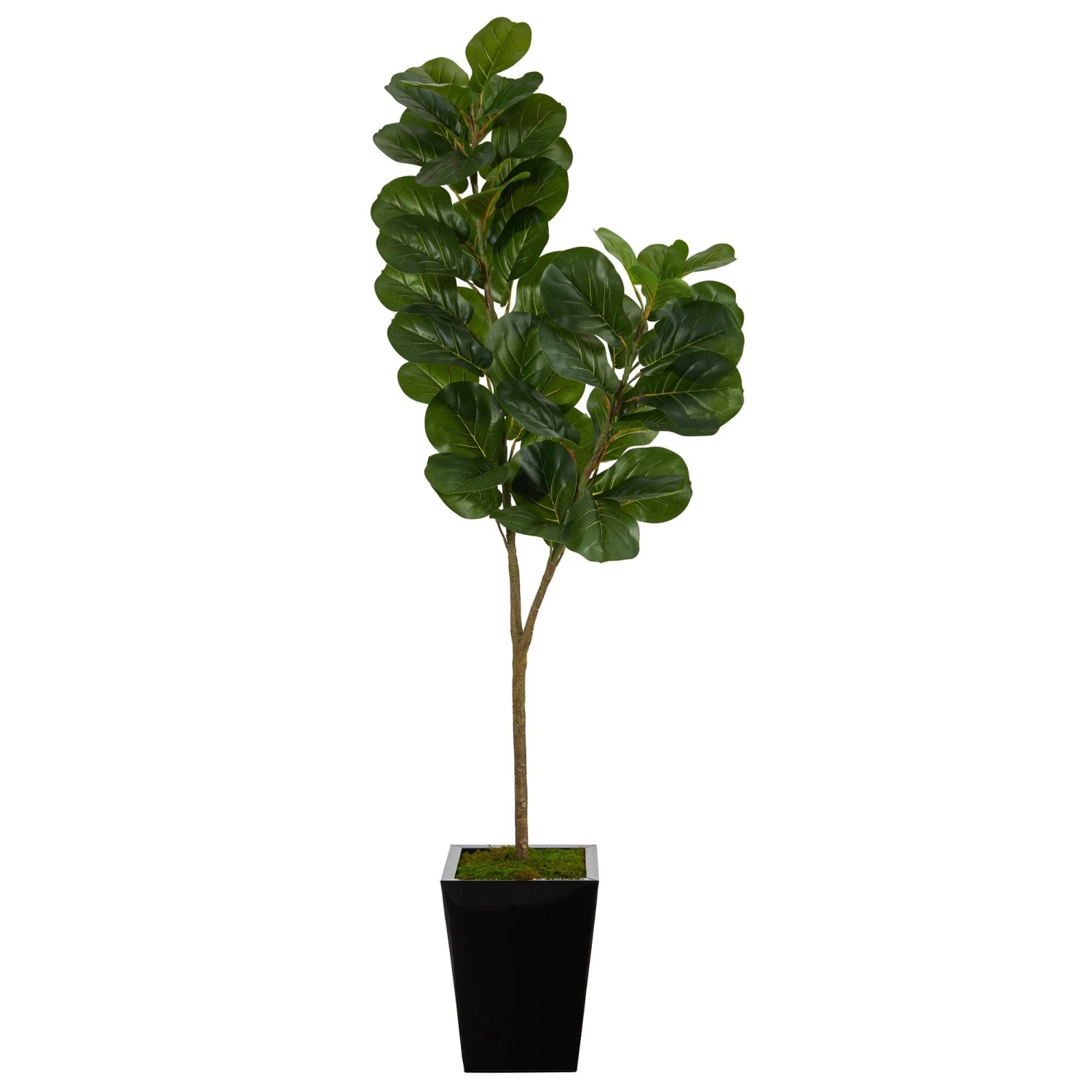 68” Fiddle Leaf Fig Artificial Tree In Black Metal Planter 1 68” Fiddle Leaf Fig Artificial Tree In Black Metal Planter