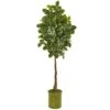 69” Beech Leaf Artificial Tree In Metal Planter