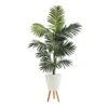 69” Kentia Artificial Palm Tree In White Planter With Stand