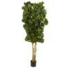 7’ Fiddle Leaf Fig Artificial Tree Beige Trunk