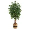 7’ Sakaki Artificial Tree In Handmade Natural Cotton Planter