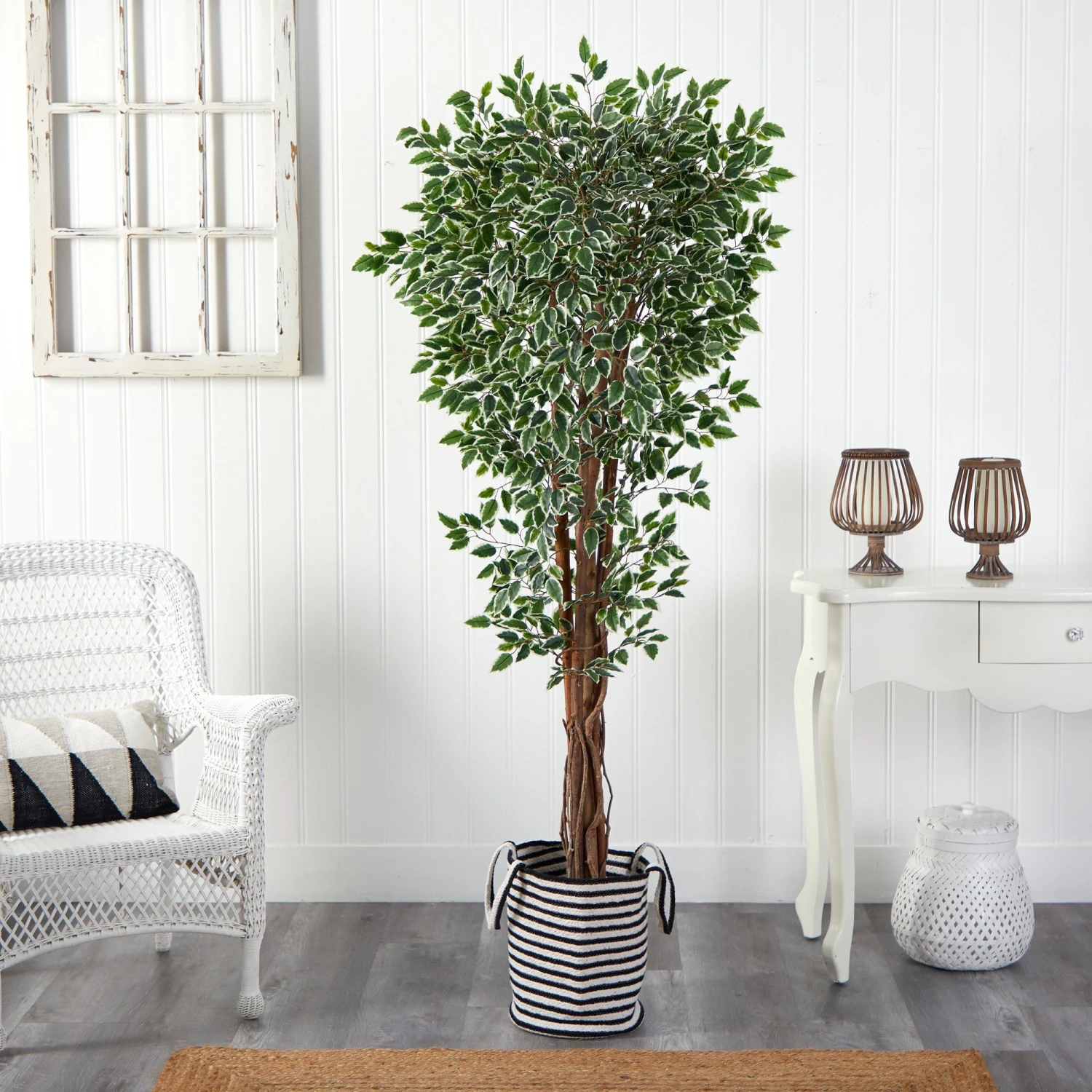 70” Variegated Ficus Tree In Handmade Black And White Natural Jute And Cotton Planter UV Resistant 3 70” Variegated Ficus Tree In Handmade Black And White Natural Jute And Cotton Planter UV Resistant - Image 3