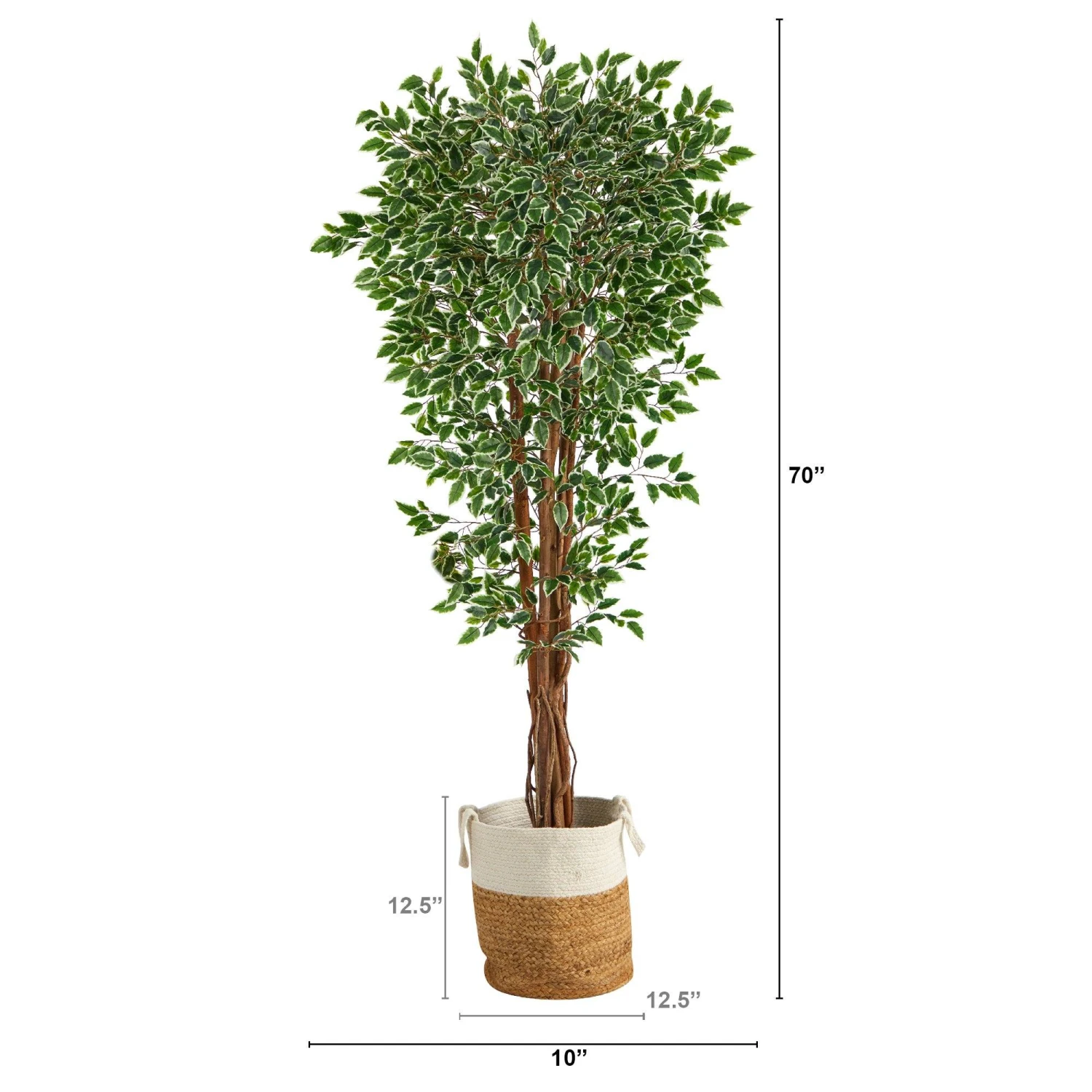 70” Variegated Ficus Tree In Handmade Jute And Cotton Planter UV Resistant (Indoor/Outdoor) 2 70” Variegated Ficus Tree In Handmade Jute And Cotton Planter UV Resistant (Indoor/Outdoor) - Image 2