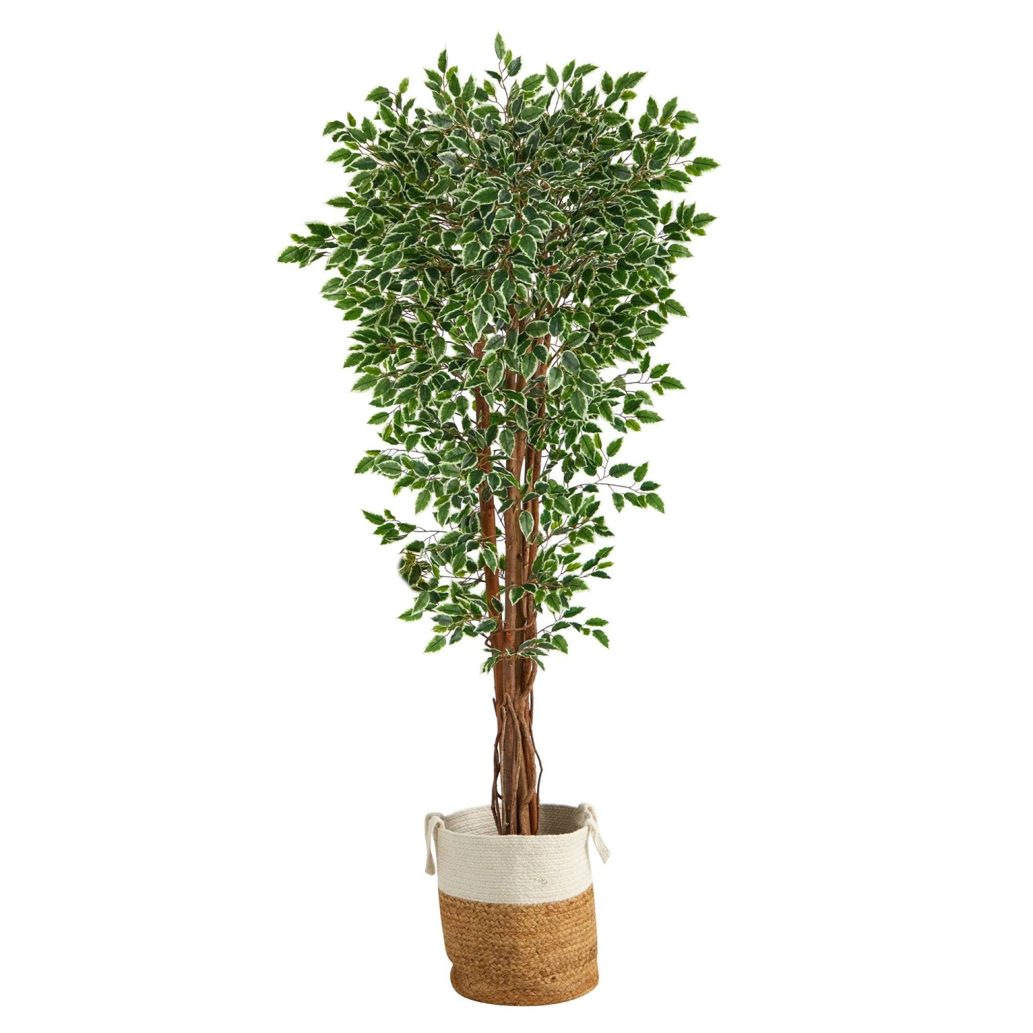 70” Variegated Ficus Tree In Handmade Jute And Cotton Planter UV Resistant (Indoor/Outdoor) 1 70” Variegated Ficus Tree In Handmade Jute And Cotton Planter UV Resistant (Indoor/Outdoor)