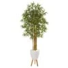 74” Multi Bambusa Bamboo Artificial Tree In White Planter With Stand
