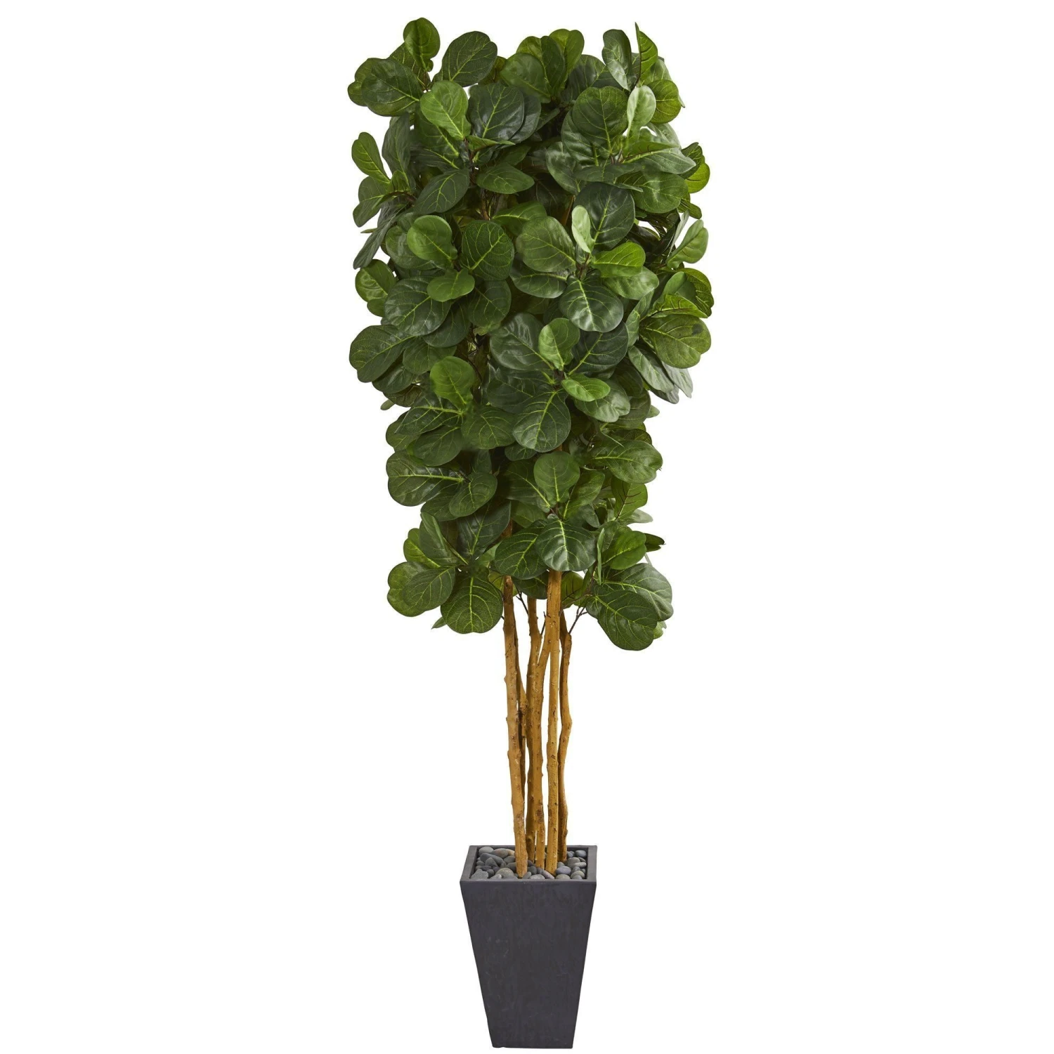 7.5' Fiddle Leaf Artificial Tree In Slate Planter 1 7.5' Fiddle Leaf Artificial Tree In Slate Planter