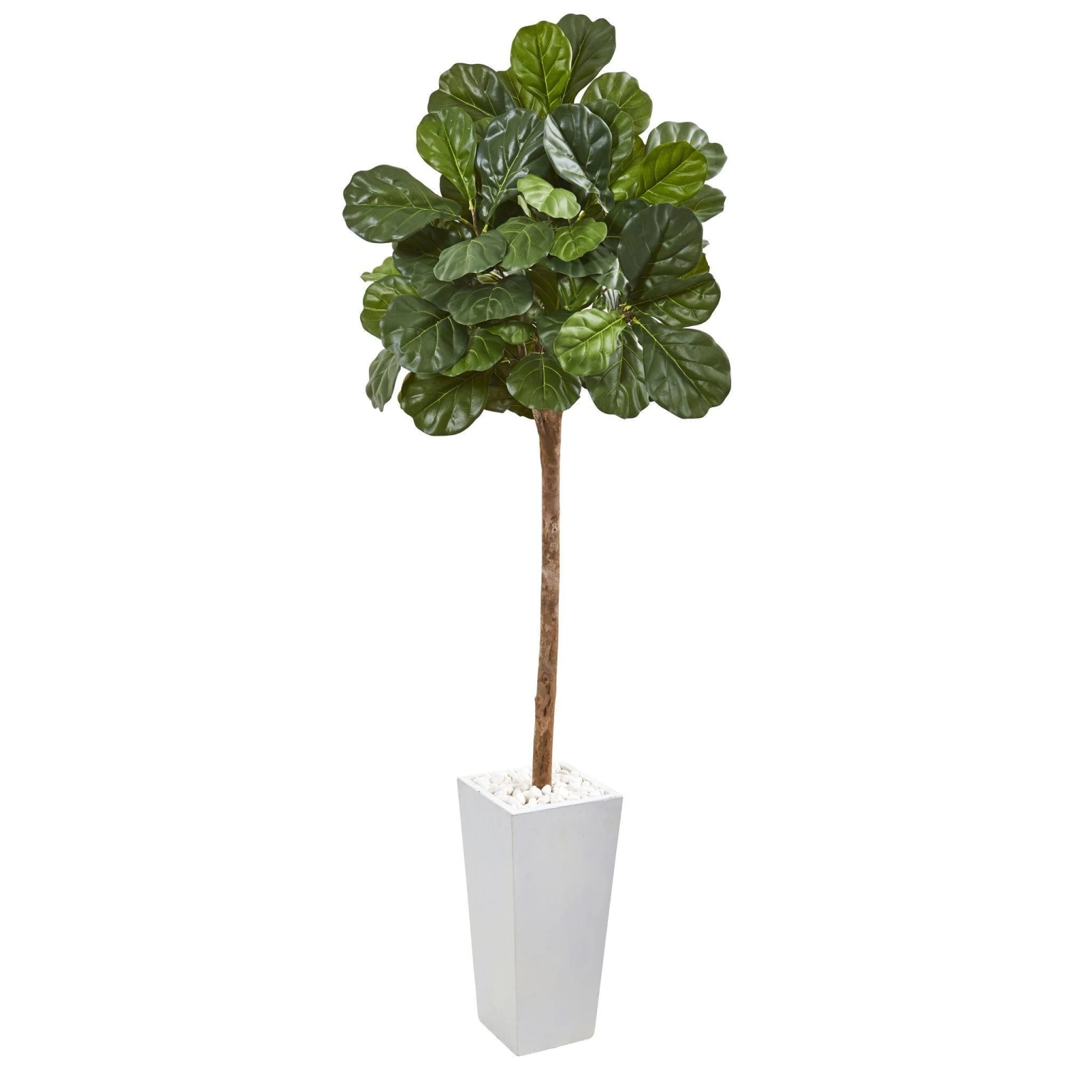 75” Fiddle Leaf Fig Artificial Tree In White Planter 1 75” Fiddle Leaf Fig Artificial Tree In White Planter