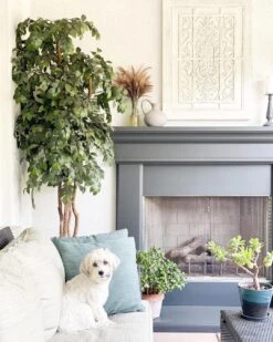 7.5’ Super Deluxe Ficus Tree 7 7.5’ Super Deluxe Ficus Tree -Artificial Trees Store artificial 75 super deluxe ficus tree nearly natural 350225