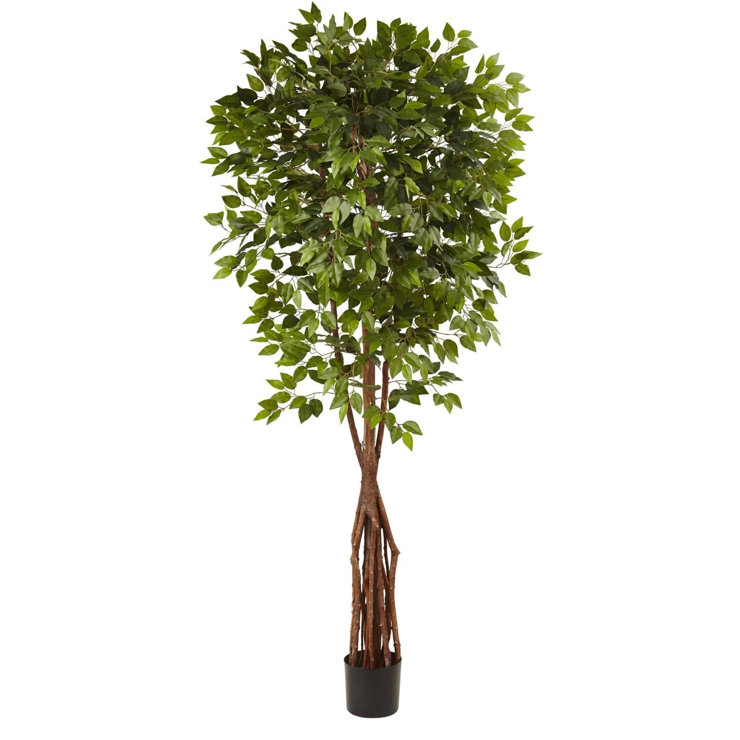 7.5’ Super Deluxe Ficus Tree 1 7.5’ Super Deluxe Ficus Tree