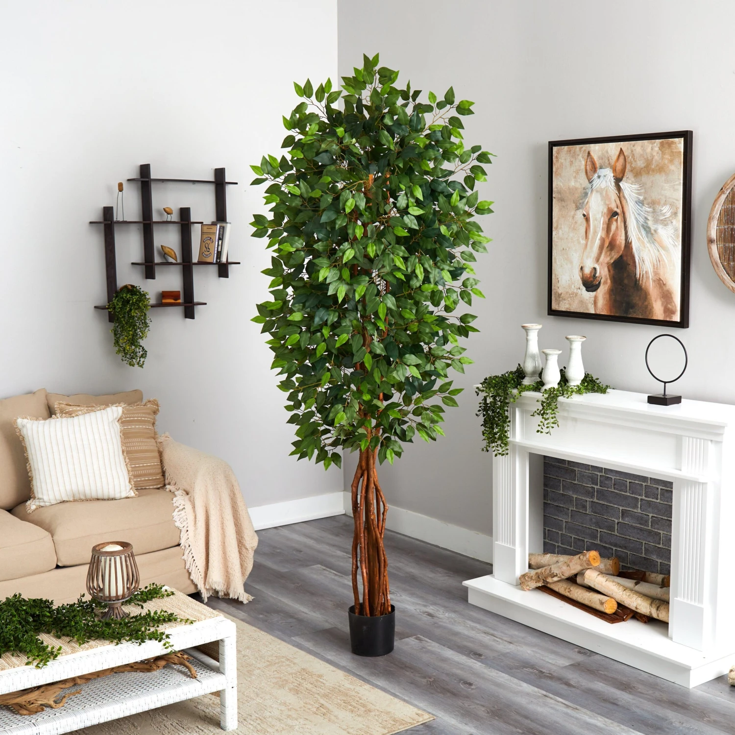 7.5’ Super Deluxe Ficus Tree 2 7.5’ Super Deluxe Ficus Tree - Image 2