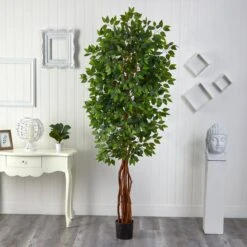 7.5’ Super Deluxe Ficus Tree 6 7.5’ Super Deluxe Ficus Tree -Artificial Trees Store artificial 75 super deluxe ficus tree nearly natural 474682