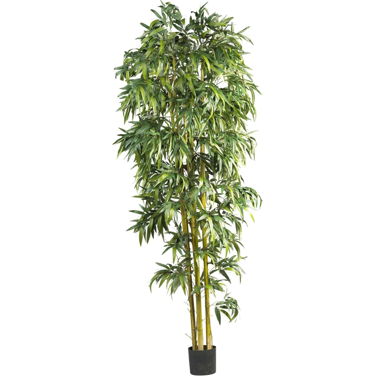 8’ Biggy Style Bamboo Tree 1 8’ Biggy Style Bamboo Tree