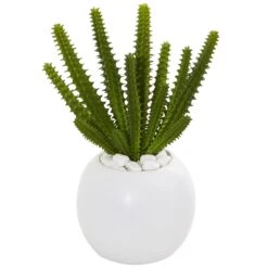 8” Cactus Succulent Artificial Plant In White Planter (Set Of 3) -Artificial Trees Store artificial 8 cactus succulent artificial plant in white planter set of 3 nearly natural 932956