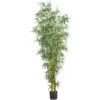 8’ Fancy Style Bamboo Silk Tree