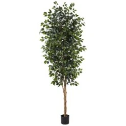 8’ Ficus Tree W/1512 Lvs