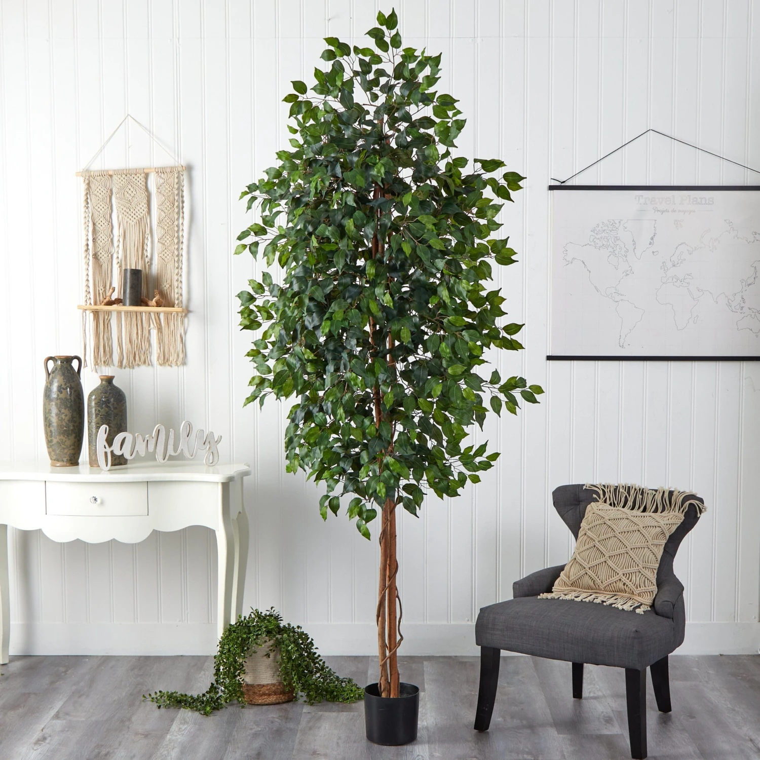 8’ Ficus Tree W/1512 Lvs 2 8’ Ficus Tree W/1512 Lvs - Image 2