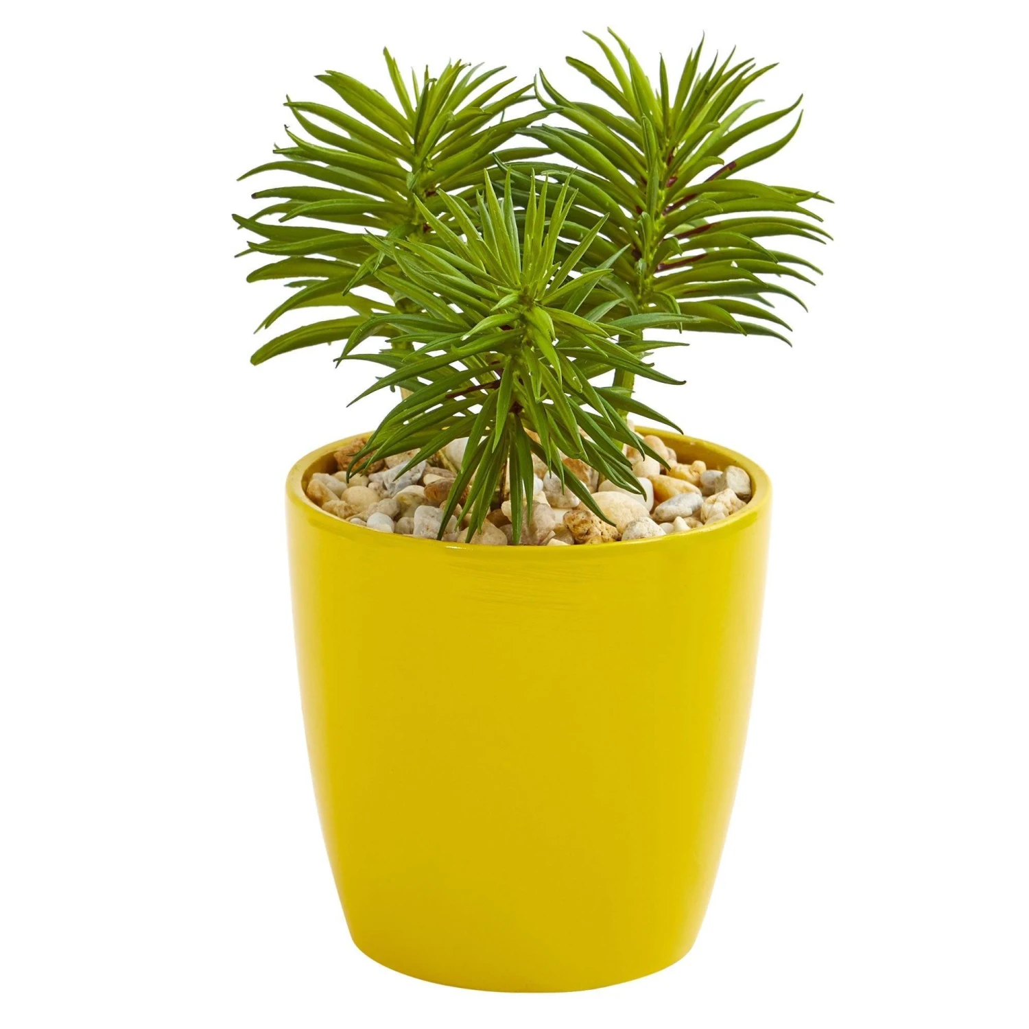 9” Mixed Succulent Artificial Plant In Yellow Vase (Set Of 3) 4 9” Mixed Succulent Artificial Plant In Yellow Vase (Set Of 3) - Image 4