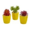 9” Mixed Succulent Artificial Plant In Yellow Vase (Set Of 3)