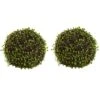 9” Mohlenbechia Ball (Set Of 2)